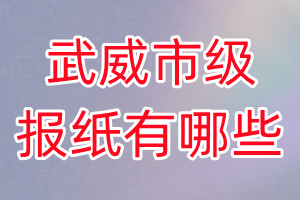 武威市級報紙有哪些